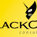 Jacqui Matthew-Harris, Black Cat Consulting